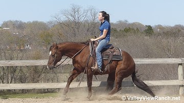One Of The Kind - spins, lope-offs, big stops! - ValleyViewRanch.net