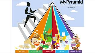 Micro Lecture 1- Creating Balanced Meals