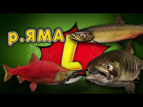 Видео: ◦ level ◦ Русская рыбалка 4 ◦🎣👍🐬