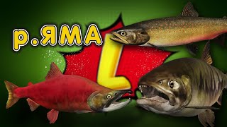 ◦ level ◦ Русская рыбалка 4 ◦🎣👍🐬