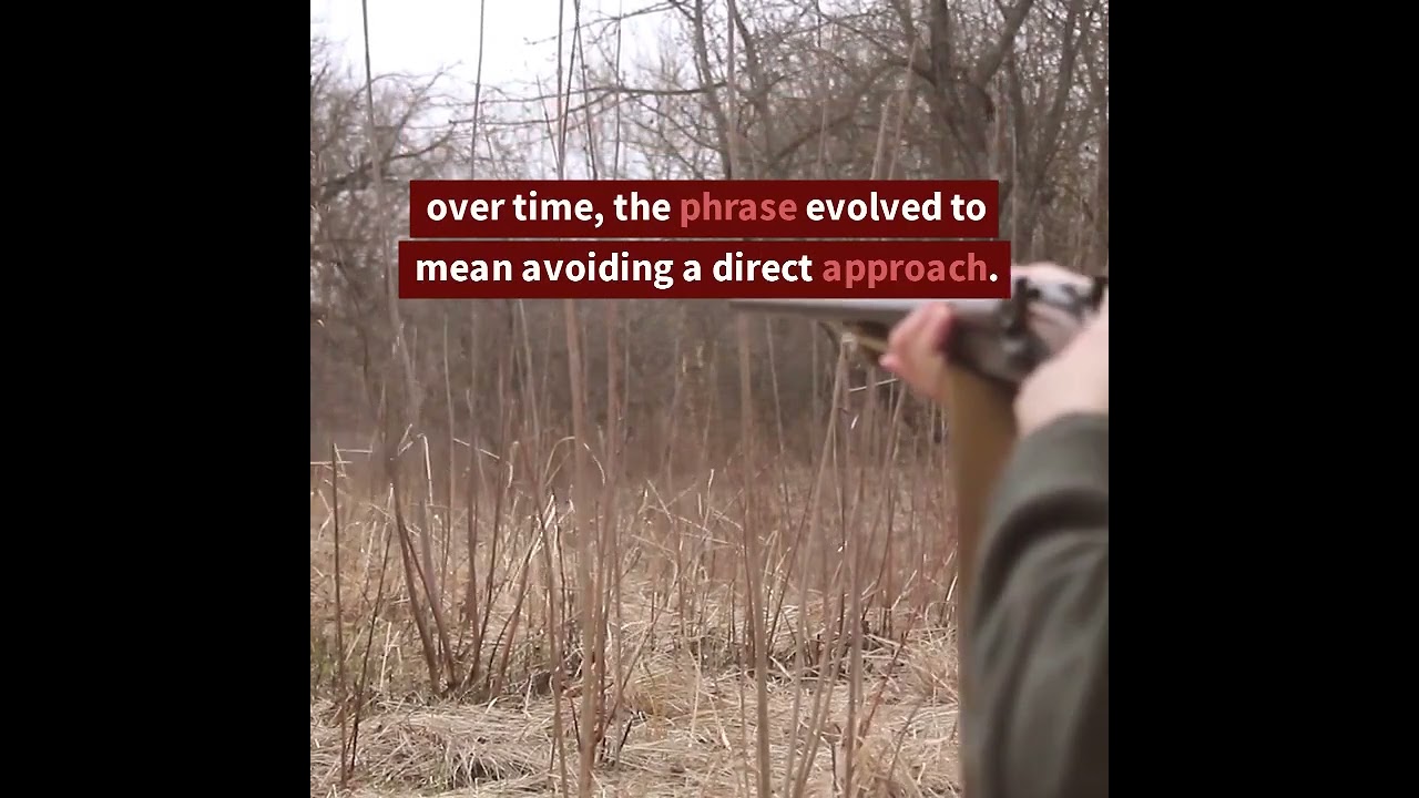 Idioms | Beat Around the Bush 