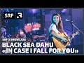 Black Sea Dahu - In Case I Fall For You (Live) | SRF 3 Showcase