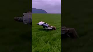 Hayat Ne Garip Şam Ğa