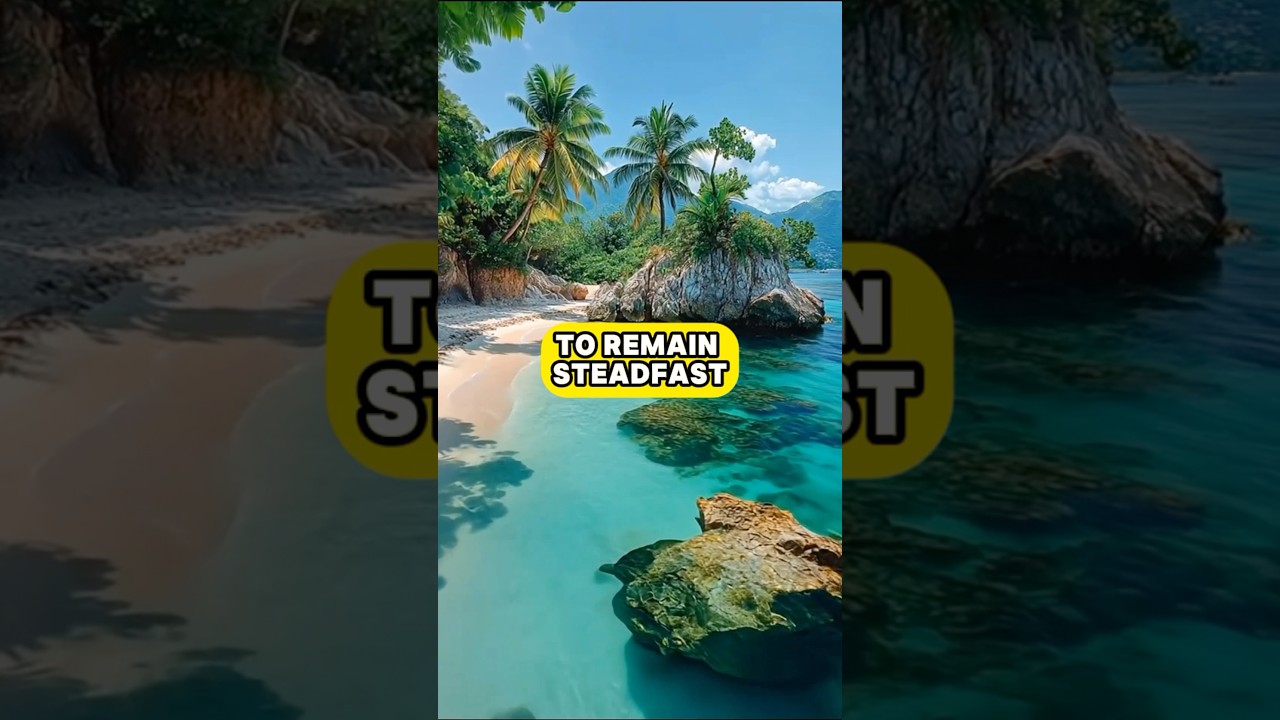 A Prayer For Peace Amidst Chaos | Daily Prayer, Devotion and Inspiration 