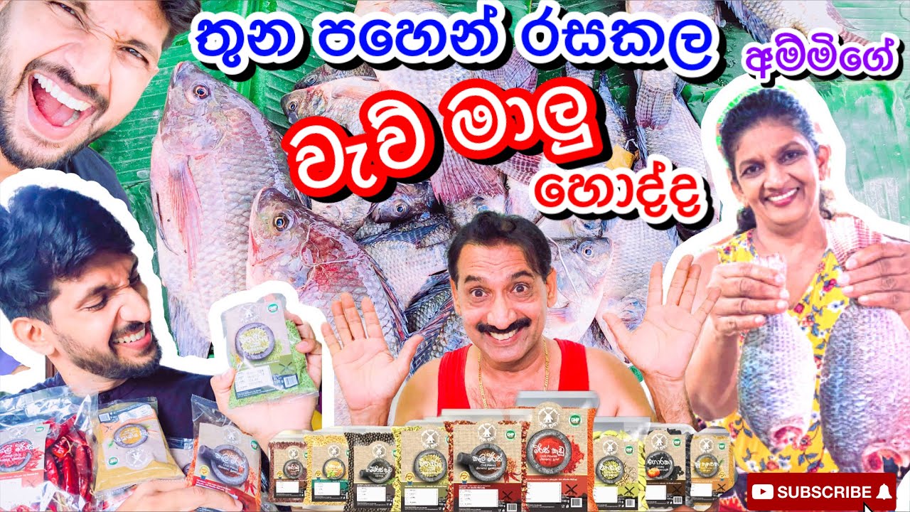 කටට රහට වැව් මාලු හදන්නෙ අම්මි මෙහෙමයි - Sangeeth Vlogs|Sangeeth Satharasinghe