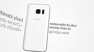 All Birds Colombia screenshot 1