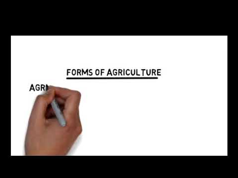 Forms of Agriculture  YouTube