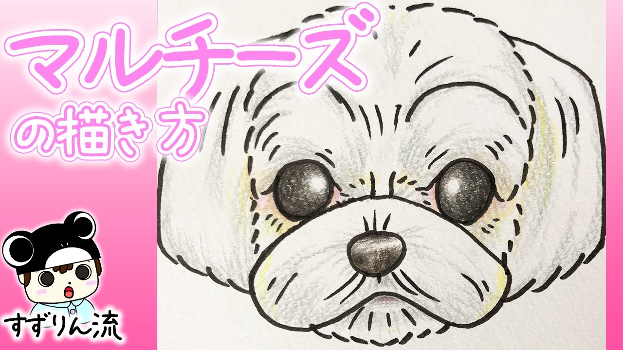 犬のイラスト モコモコ ビション フリーゼの描き方 Youtube