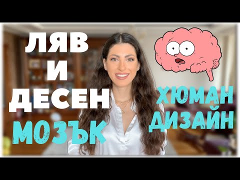 Видео: Какво е активно и пасивно разузнаване?