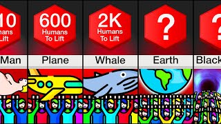 Comparison: How Many Humans To Lift ___