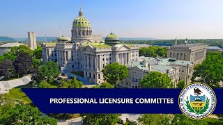 Professional Licensure Committee   June 24, 2026