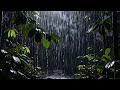 🔴 Live 🌧️ Soft Rain Forest Sounds for deep sleep meditation, relaxing the body, mind fully tonight