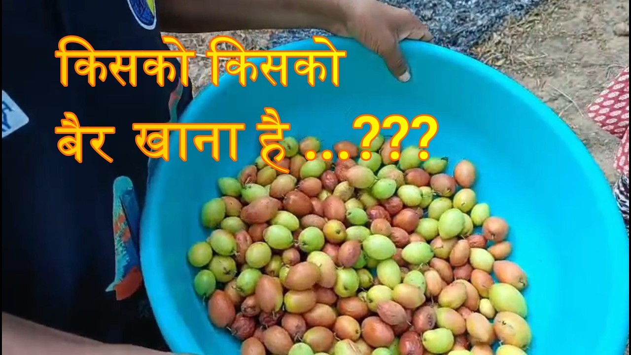 आज हम सब बैर खाने जंगल गये | झारखण्ड | daily vlogs