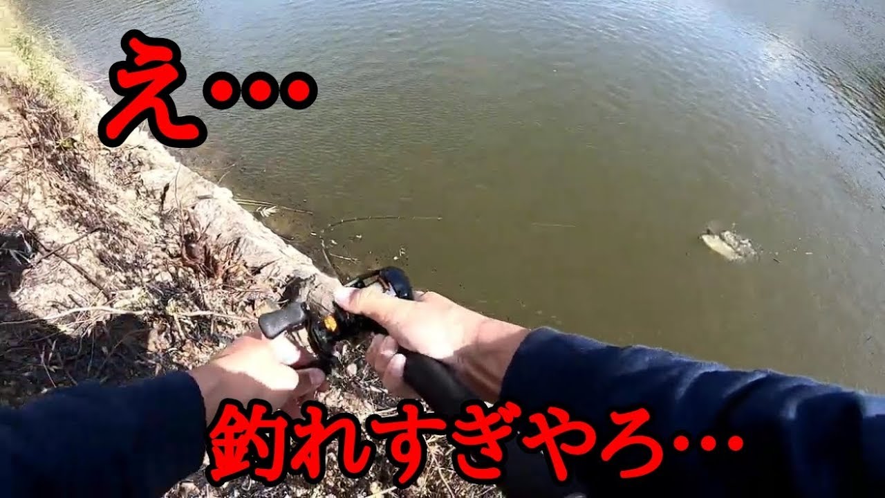 バス釣り 12月の野池でデカバス連発しすぎて焦る Youtube