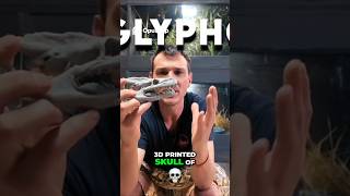 Whats In A Non Venomous Snakes Bite? #weaponsofmassconservation #snake #python #reptiles #bigsnake