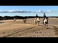 Jeffreys Bay Horseback Riding @FEATHERFOOTHORSES