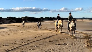 Jeffreys Bay Horseback Riding @FEATHERFOOTHORSES by Real Life Horsemanship 83 views 9 months ago 2 minutes, 35 seconds