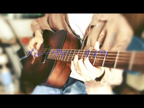 ブルーベリー・ナイツ/マカロニえんぴつ　（弾き語り風カバー）