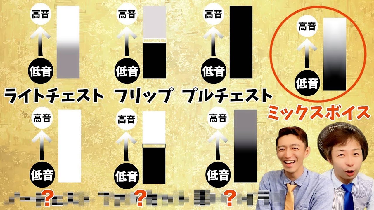 あなたの歌声はどれ？４ボイスタイプ分析でミックスボイスを目指せ！【ボイトレの知識③】