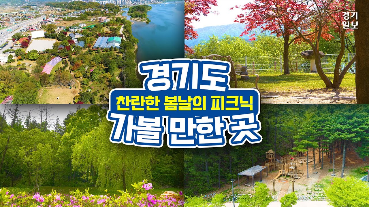 찬란한 봄날 피크닉…'봄꽃 나들이 명소' [경기도 가볼 만한 곳]