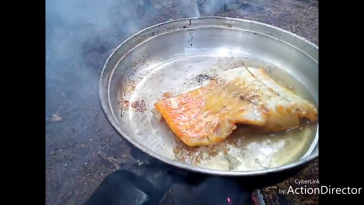 Solo Overnight Hammock Camping Westport Ireland April 2018 YouTube