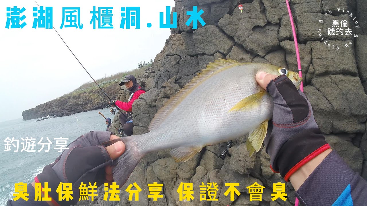 澎湖釣遊 EP2  澎湖本島 風櫃洞.山水 本島生態很好的! 分享臭肚保鮮法 保證不臭肚 #fishing #磯釣 #澎湖 #山水