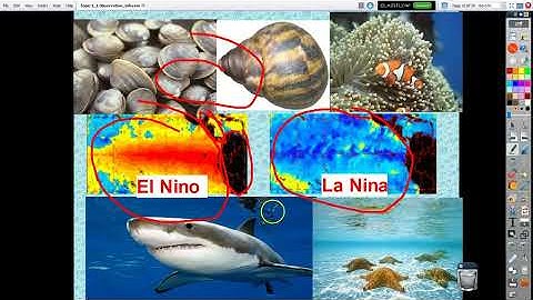 Observation Inference9 14 20 video 1