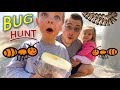 BUG HUNT for REAL BUGS!! MAGGOTS, Worms, FIRE ANTS, Beetles and MORE FOR KIDS!!