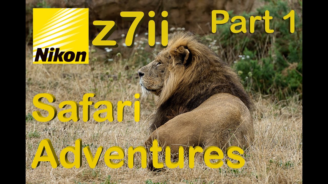 Nikon Z7 Ii Safari Adventures Part 1 YouTube Nikon Z7 Ii Safari Adventures Part 1 YouTube