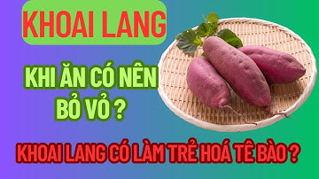 ĂN KHOAI LANG CÓ NÊN BỎ VỎ VÀ KHOAI LANG CÓ THẬT SỰ LÀM TRẺ HOÁ TẾ BÀO ?