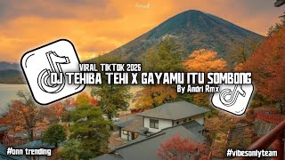 DJ INDIA TEHIBA TEHI X GAYAMU ITU SOMBONG X WENABEST LOST CONTROL (VIRAL TIKTOK 2026)