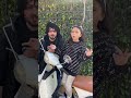 هو انت اسمك ايه سمير عفروتو هو انت اسمك ايه سمير عفروتو