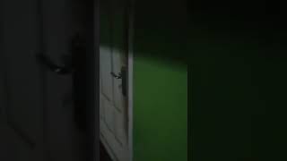 live di datangin lampor/keranda mayat