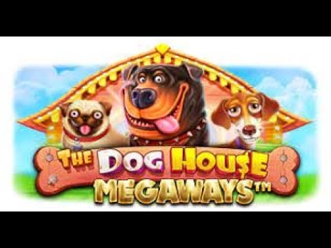 Dog house megaways demo dog houses info