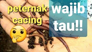 Budidaya cacing tanah_mengenal jenis cacing yang bisa di budidaya