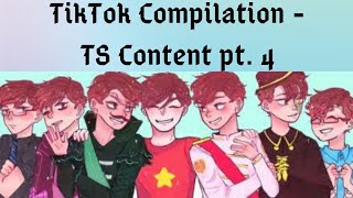 TikTok Compilation - TS Content pt. 4