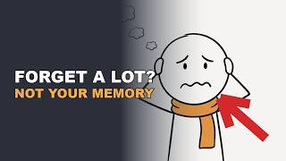 The real reason you forget everything