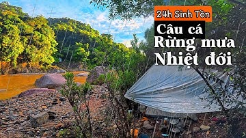 Câu Cá Trong Rừng Mưa Nhiệt Đới, 24h Sinh Tồn Tìm Thức Ăn | Fishing and Survival