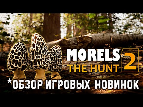 Видео: Morels: The Hunt 2✮ОБЗОР ИГРОВЫХ  НОВИНОК✮#MorelsTheHunt2