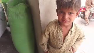 solar atta chakki 15 ki motor plyta#machine #chakklimachine #attachakkibusiness #flourmillattachakki