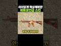 어이없게 떡상해버린 게임 스킨
