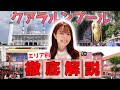 【マレーシア初心者でも安心🔰】クアラルンプールを10分で解説！！🇲🇾