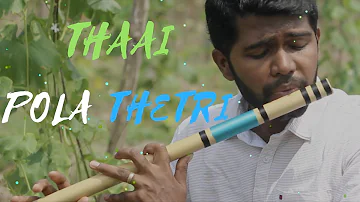 Thaai Pola Thetri | Bro Joseph Aldrin | Tamil Christian Song | Kiruba Flute Instrumental#9