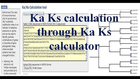 how to calculate Ka Ks value | kaks calculator |synonymous and nonsynonymous substitution rate kaks