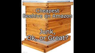 Cheap Amazon Beehive vs Mann Lake