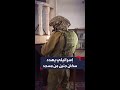 جندي إسرائيلي يهدد سكان مخيم جنين من داخل مسجد