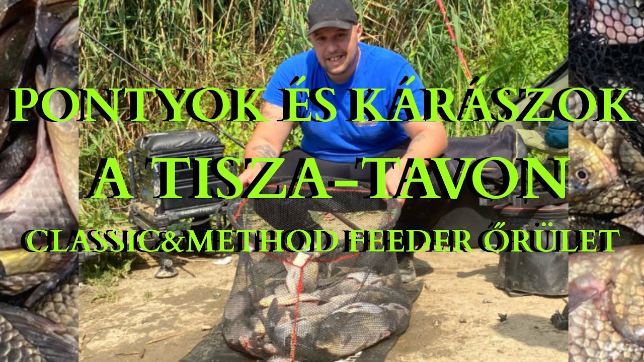 23 KG KÁRÁSZ + PONTYOK! Brutális nap a Tisza-tavon! |Kolláth András Fishing-9.rész|