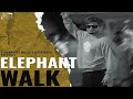 Elephant walk   official   sucha yaar  punjabi songs 2023  black notes music