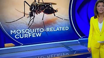 curfew in Massachusetts and two other counties due to the new incurable mosquito thumbnail