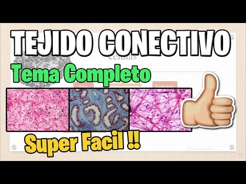 Tejido Conectivo general SOLO en 15 mins MEJOR EXPLICADO